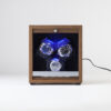 Automatska kutija za satove 3 Cabinet