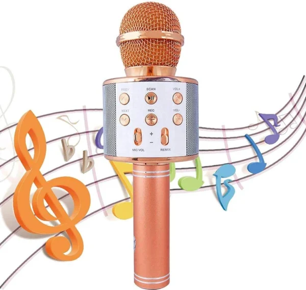 Karaoke mikrofon sa zvučnikom